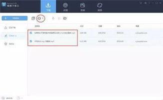 国产小视频资源迅雷下载