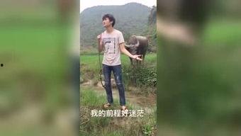 国产裸拍福利视频下载,暗流涌动的网络暗角